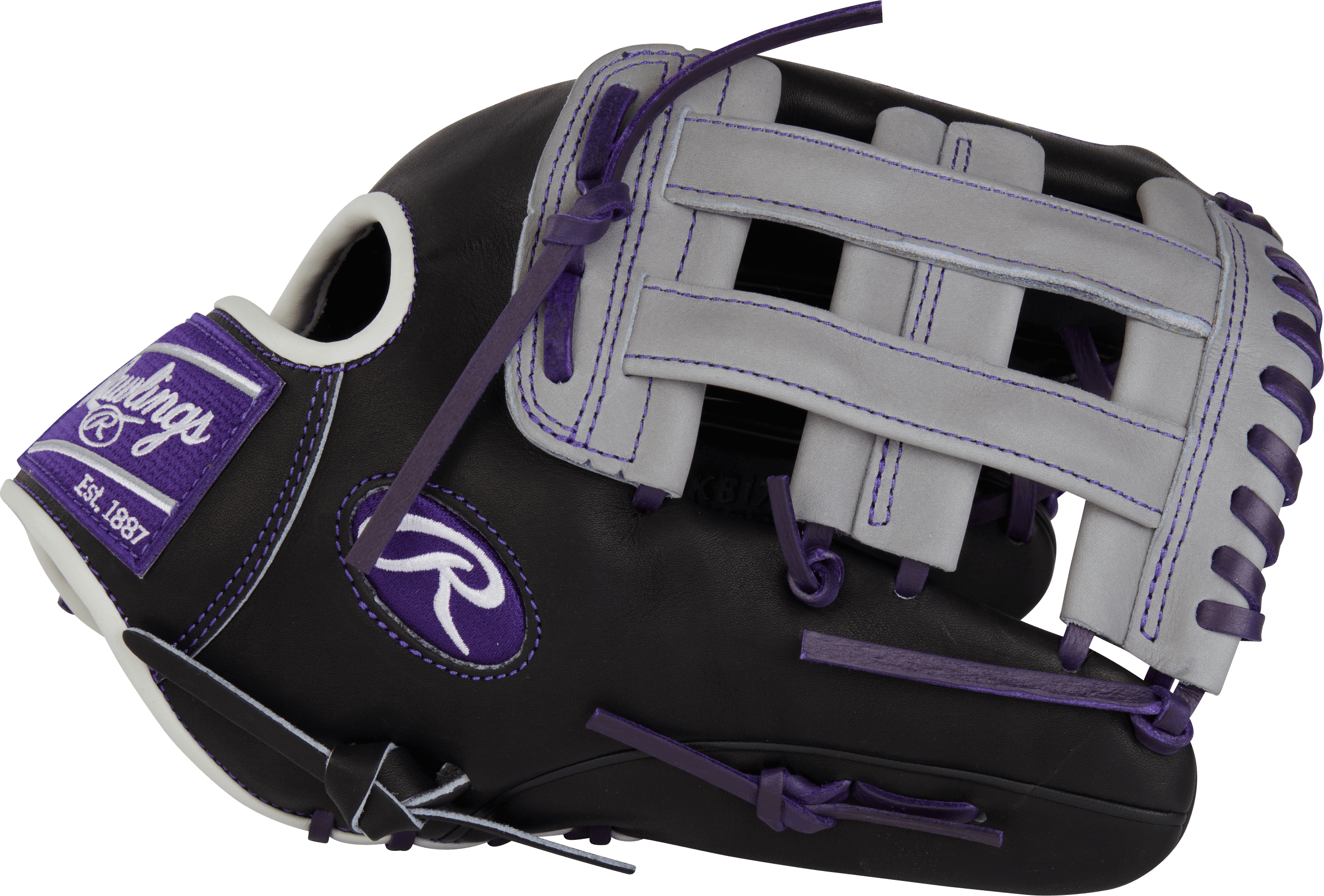 Rawlings December 2022 Gold Glove Club Heart of the Hide 12.25" infield glove with purple and white accents.