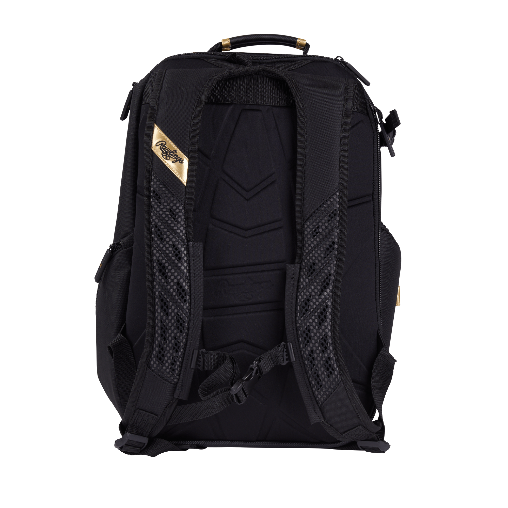 Rawlings Gold Collection Utility Backpack back view with molded EVA support and padded straps.