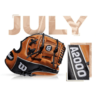Wilson A2000 1786 SS - Eric Sogard Custom Glove Wilson A2000 1786 SS - Eric Sogard Custom Glove