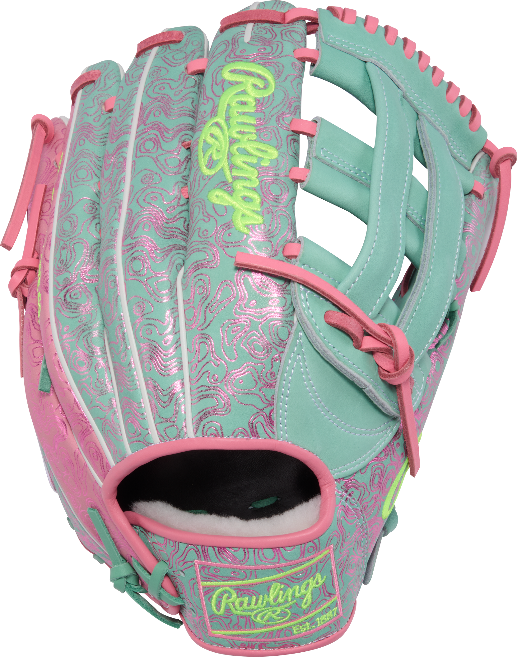 Rawlings Pro Preferred Outfield Glove - Back View, The Gold Glove Co.