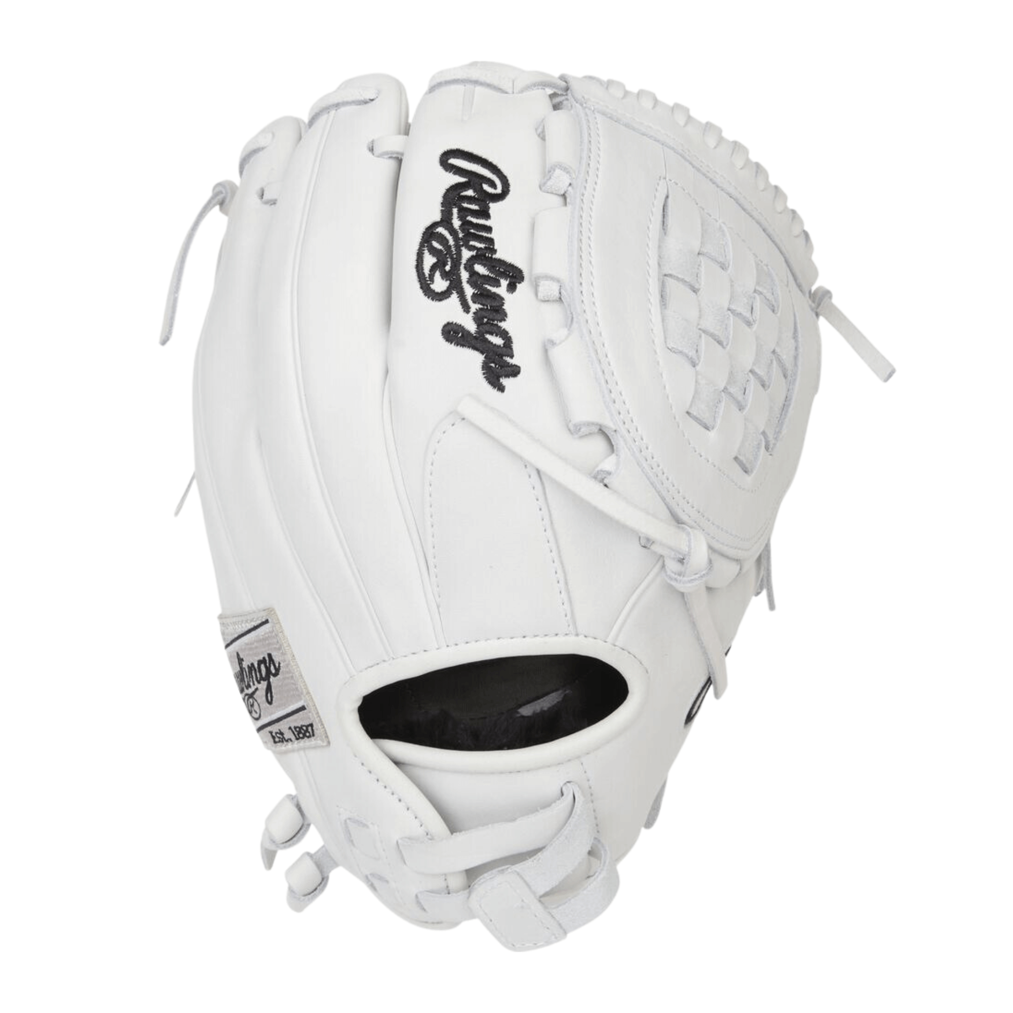 Rawlings liberty hotsell advanced softball glove