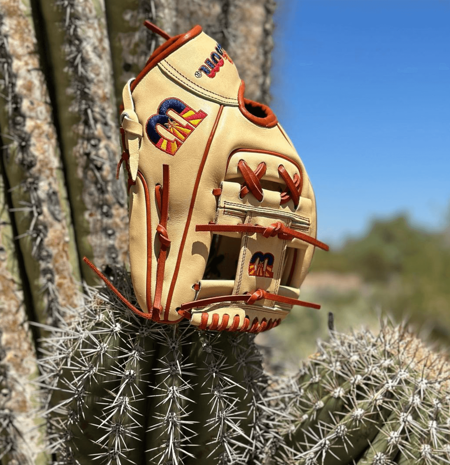 Wilson A2000 AZ Flag baseball glove hanging on a cactus in the Arizona desert, showcasing unique design and leather quality.