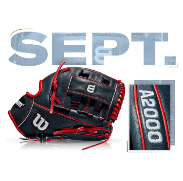 Wilson A2000 G4 glove featuring Brian Dozier custom design, showcased with "SEPT." text in background.