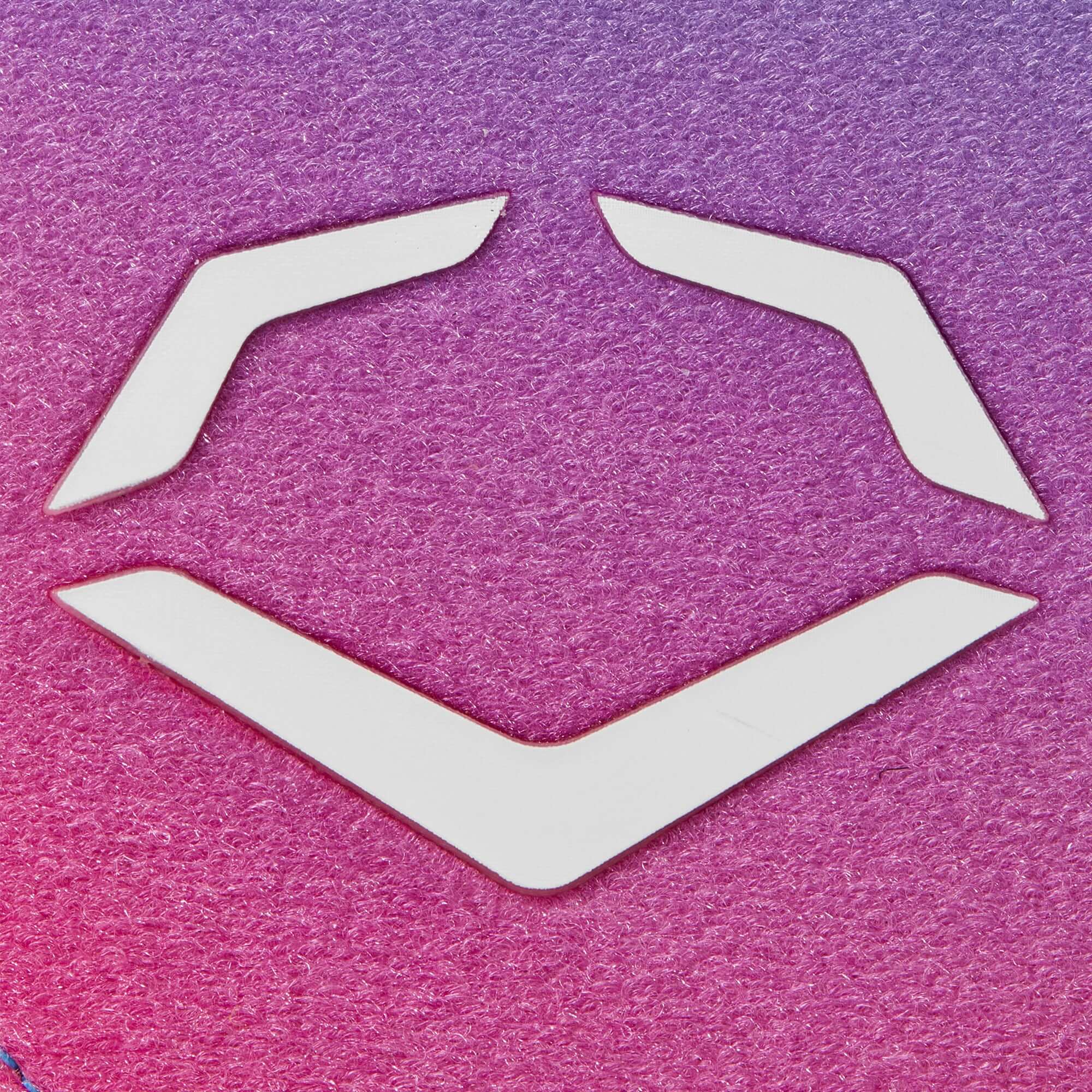EvoShield logo design featuring a Sky Blue to Pink gradient background.