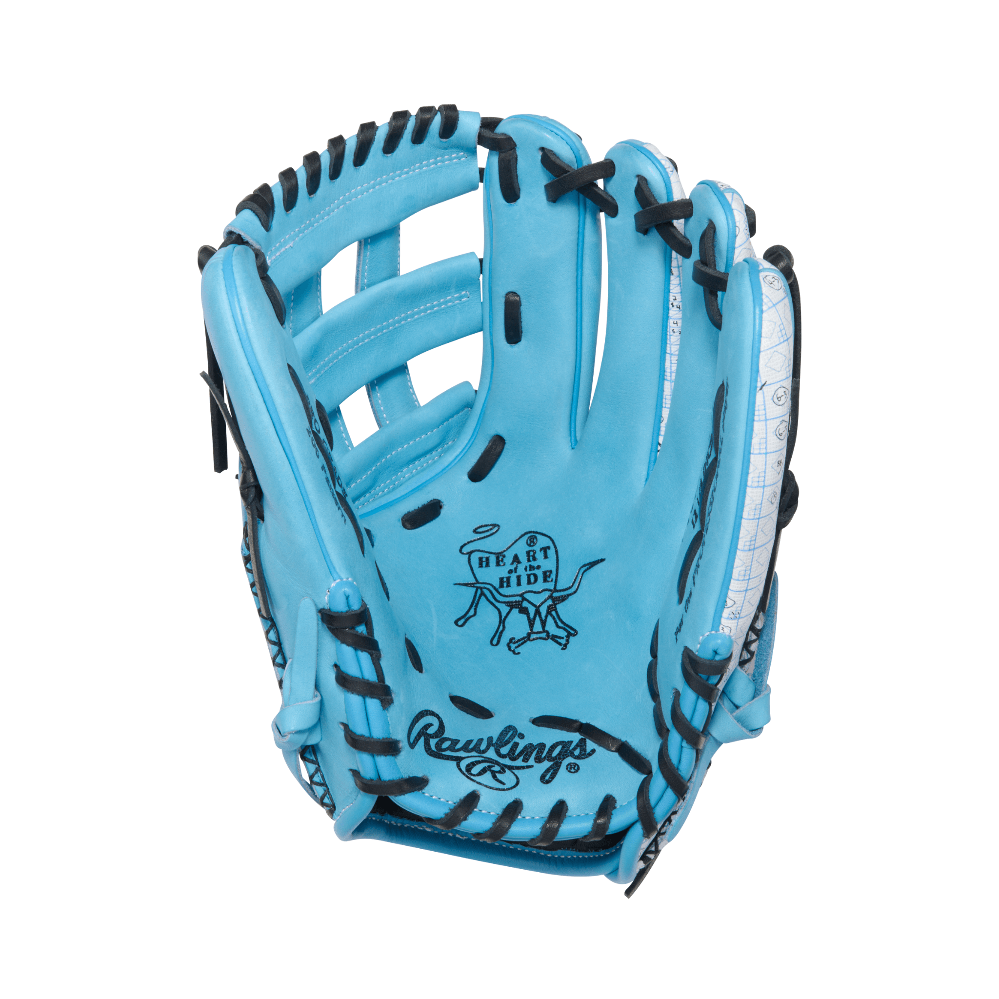 Palm View of Rawlings July 2025 Gold Glove Club Glove