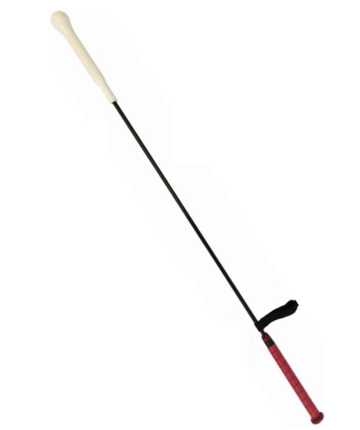 Rawlings Swing Trainer