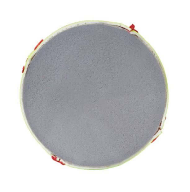 Pronine 10YSC low compression official league game ball with synthetic vinyl cover.