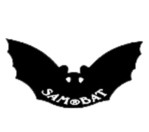 Sam Bat