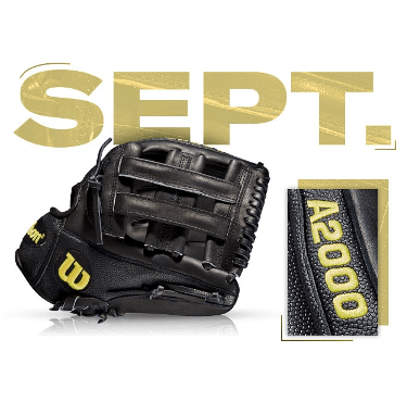 Wilson Glove of the Month 100 Page 3