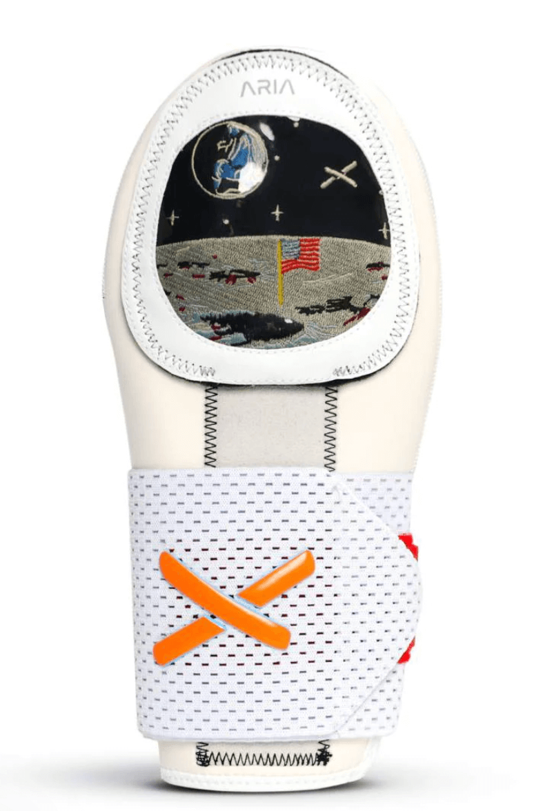 Absolutely Ridiculous Apollo 11 Sliding Mitt Standard