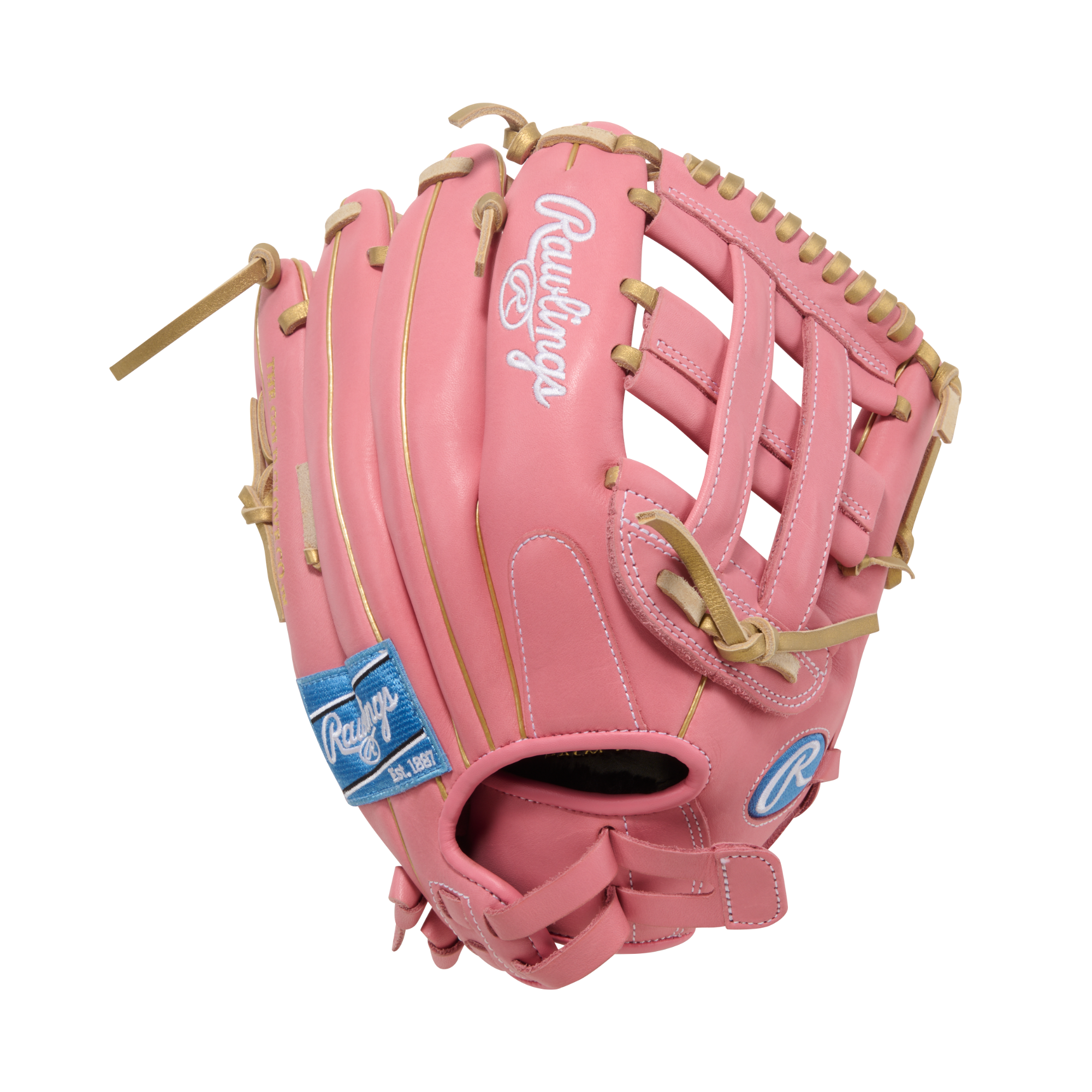 Rawlings R9 Softball 12-Inch Glove back view adjustable pull strap fastpitch softball glove