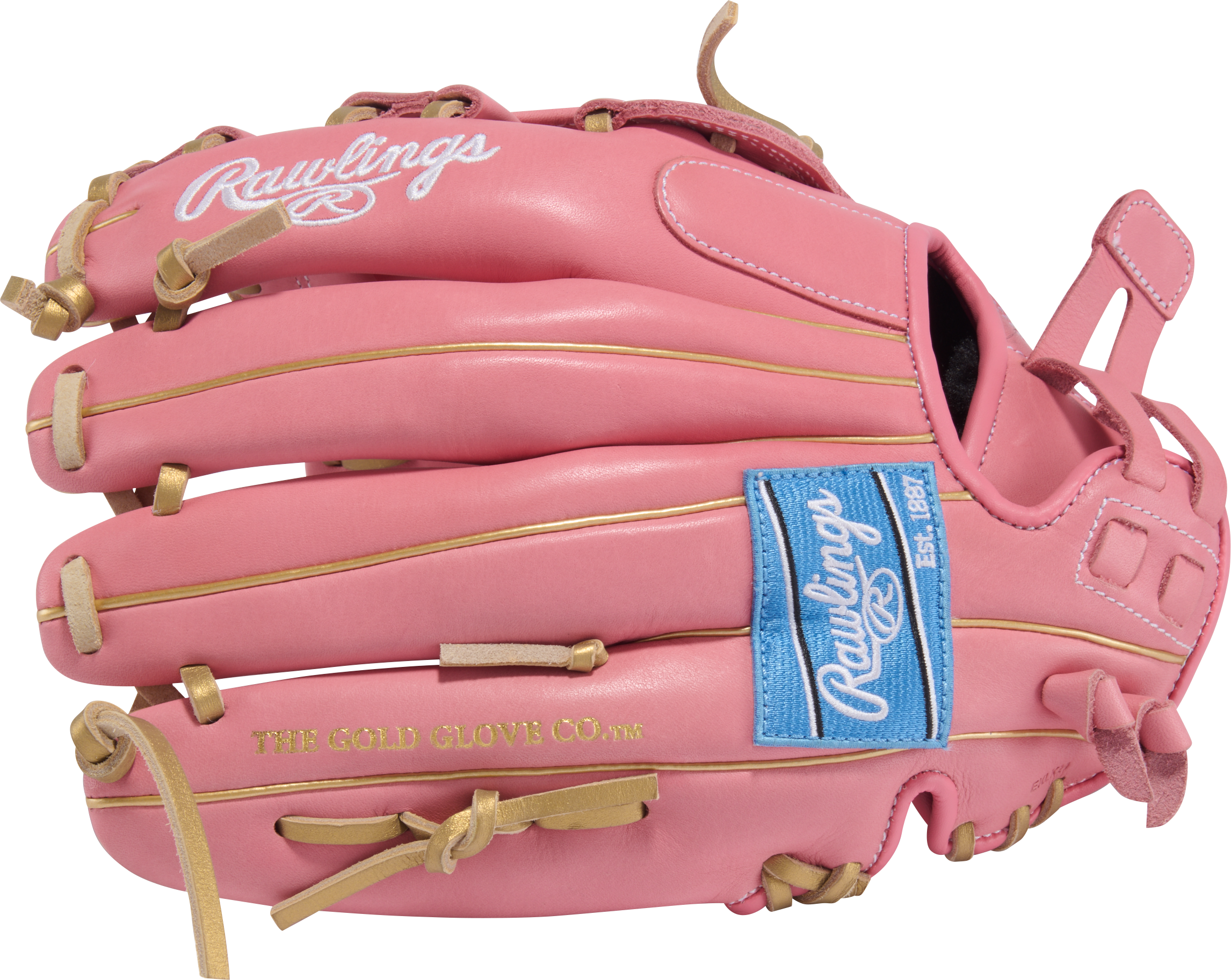 Rawlings R9 Softball 12-Inch Glove fingers view cushioned finger lining fastpitch glove