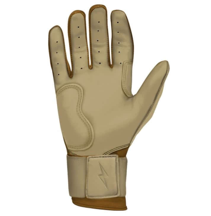 Bruce Bolt Long Cuff Gold Series premium batting gloves in carry case