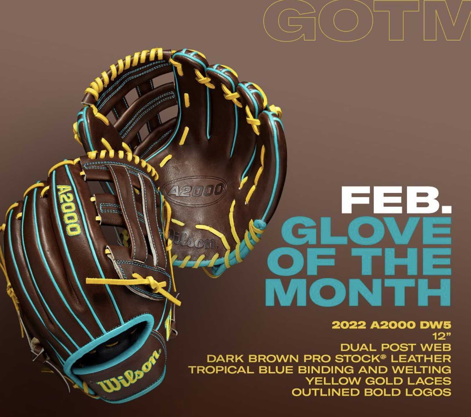 Wilson A2000 February 2022 Glove of the Month (GOTM) DW5 Dark